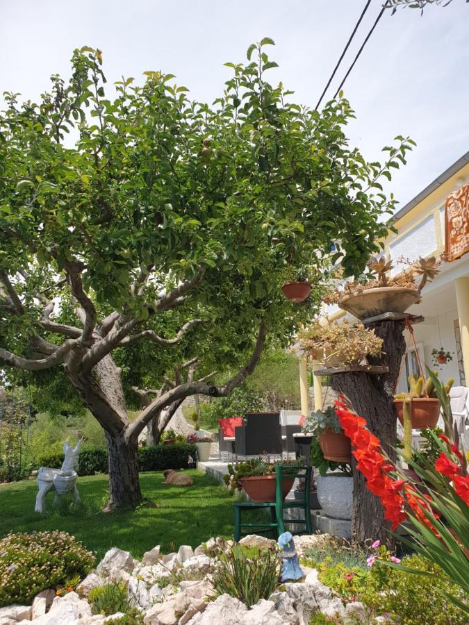 Apartmani I Sobe Jusic Rab Town Buitenkant foto